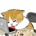 feng1-
